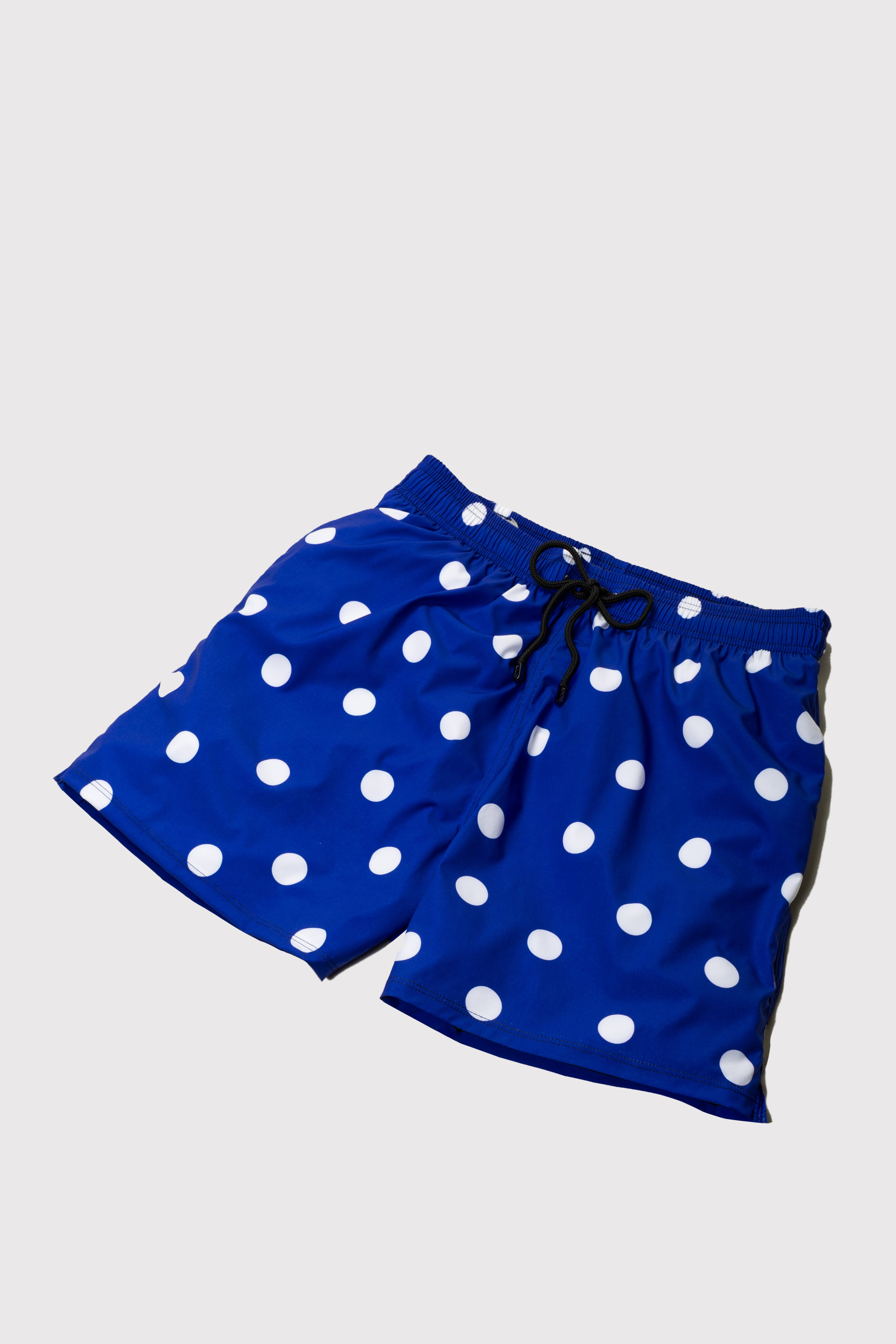 Big Sur Swim Shorts