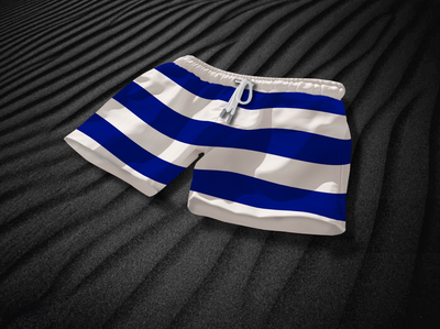 Baha Navy Blue & White Swim Shorts