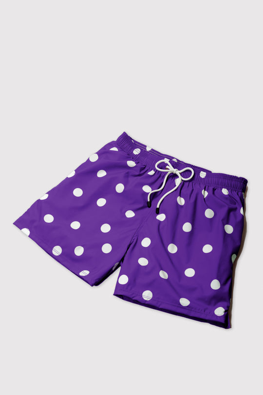 Big Sur Purple Swim Shorts