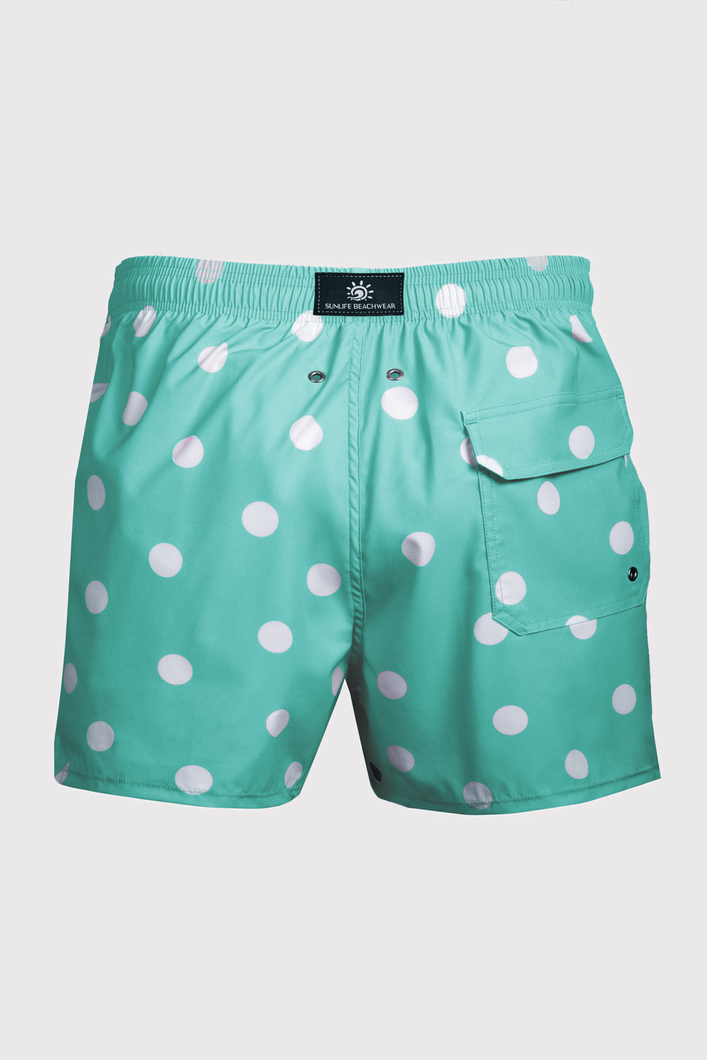 Big Sur Aqua Swim Shorts