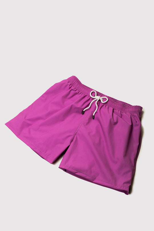 Coronado Purple Swim Shorts