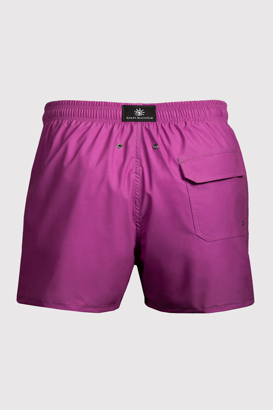 Coronado Purple Swim Shorts