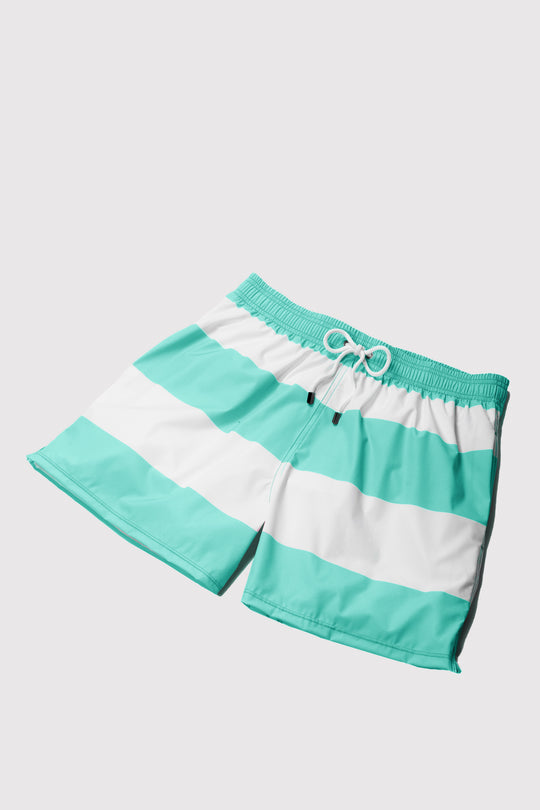 Baha Aqua & White Swim Shorts