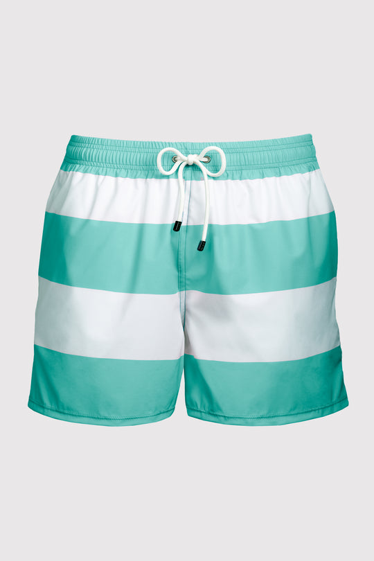 Baha Aqua & White Swim Shorts